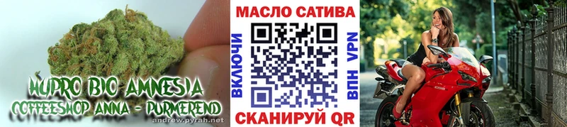 закладки  Багратионовск  блэк спрут маркетплейс  ТГК концентрат 