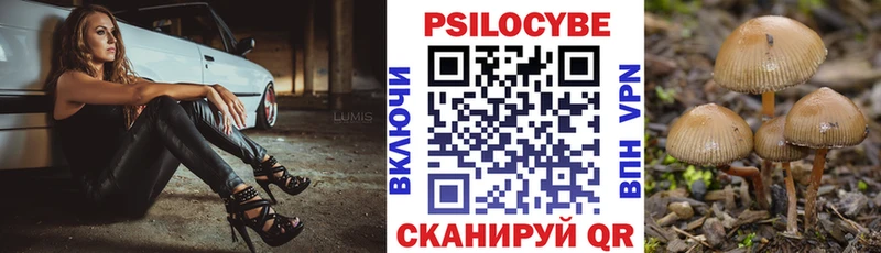 закладка  Багратионовск  Галлюциногенные грибы MAGIC MUSHROOMS 