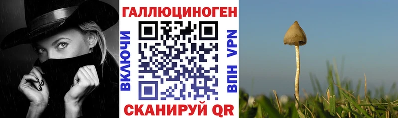 Галлюциногенные грибы прущие грибы Багратионовск